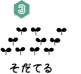 ３）そだてる